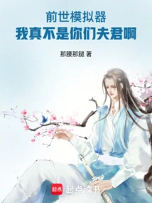 Past Life Simulator, I Am Really Not Your Husband