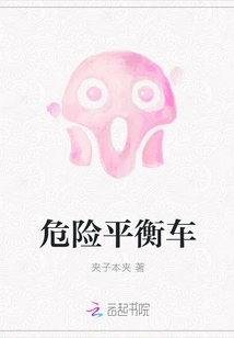 Dangerous Balance Car