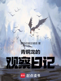 Bronze Dragon's Observation Diary