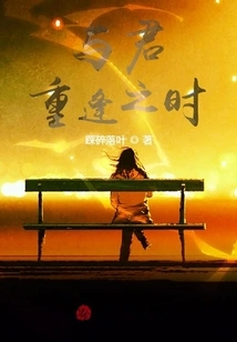 When I Meet You Again