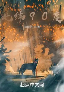 90 Degrees North Latitude