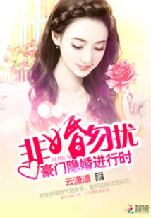 Do Not Disturb If You Are Not Married: a Hidden Marriage of a Rich Family in Progress