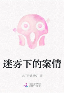 The Case under the Fog