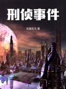 Criminal Investigation Incident