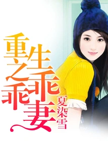 Rebirth of the Good Wife