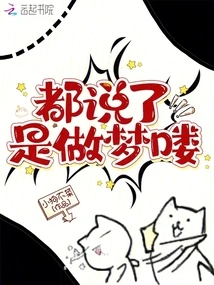 I Told You, it Was Just a Dream!