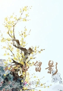 Leave a Picture in My Heart