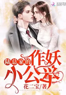 Mr. Lu's Family's Little Evildoer