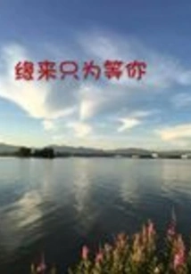 Destiny Comes Just to Wait for You