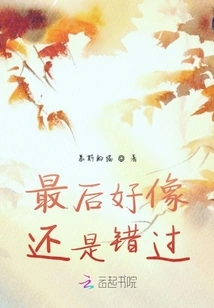 In the End it Seems I Missed It