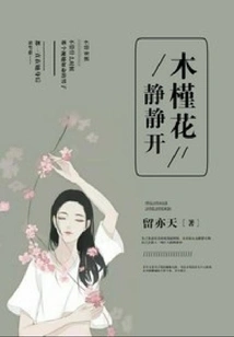 Hibiscus Flowers Bloom Quietly