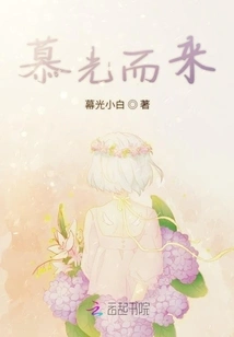 Come to Admire the Light