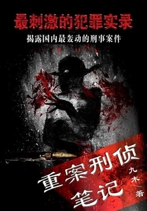 Serious Case Criminal Investigation Notes