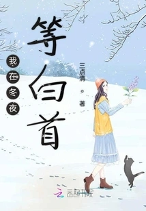 I'm Waiting for Bai Shou on the Winter Night