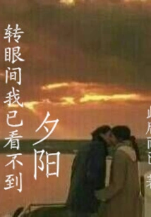 In the Blink of an Eye, I Can No Longer See the Sunset