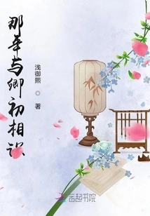 That Year I First Met Qing