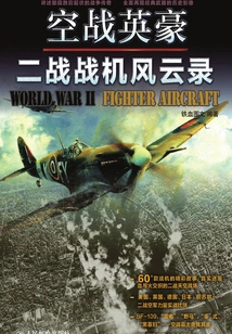 Air Combat Heroes: World War Ii Fighter Chronicles