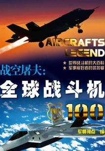 Battle Sky Butcher: Global Fighter 100