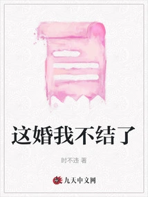 I Won't Get Married Anymore