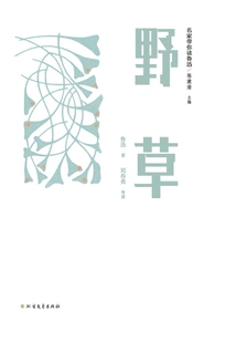 Famous Experts Guide You to Read Lu Xun: Wild Grass