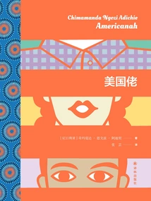 The Americans (works by Adichie)