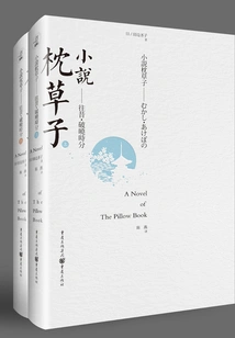 Novel Pillow: Past Daybreak