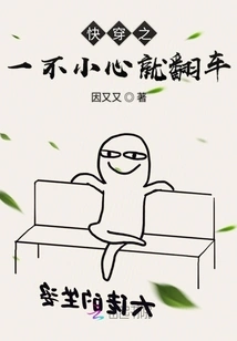 One of the Quick Rides Accidentally Overturned the Car