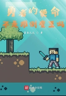 Isn't the Mission of a Hero to Overthrow the Demon King?