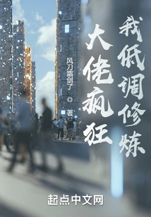 The Boss is Crazy: I Practice in a Low-key Manner