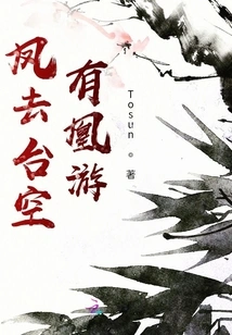 When the Phoenix Leaves Taiwan, There is a Phoenix Traveling in the Sky