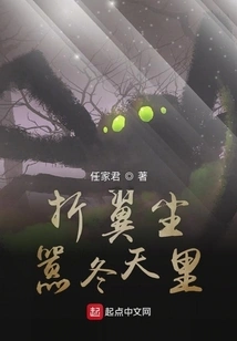 Broken Wings in the Bustle of Winter