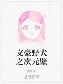 Bungou Stray Dogs Dimensional Wall