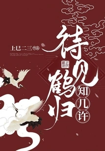 Waiting to See the Crane Return and Know How Much it Will Be