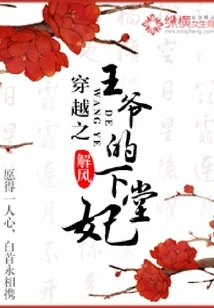 The Concubine of the Time-traveling Prince