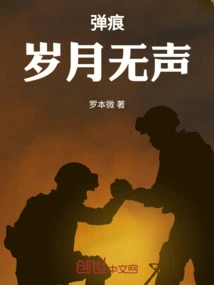 Bullet Marks: Time is Silent