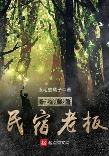 I'm Really a B&b Owner