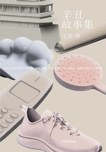 A Collection of Xin Chou Stories