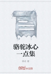 Camel Bing Xin Yidian Collection