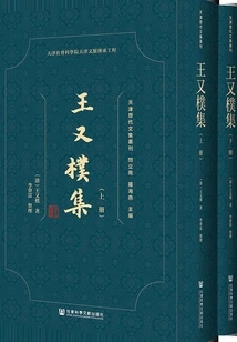 Collection of Wang Youpu (2 Volumes in Total)