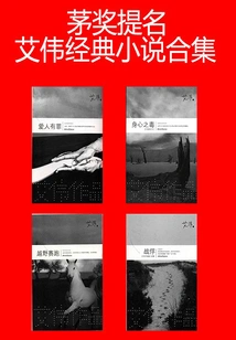 Collection of Mao Award-nominated Ai Wei's Classic Novels