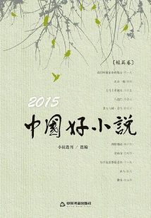 2015 Chinese Good Novels (short Stories)