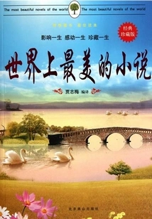 The Most Beautiful Novel in the World