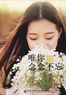 Only You, I Will Never Forget You