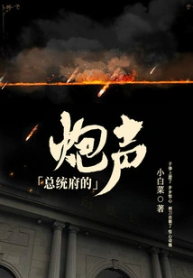 Gunshots from the Presidential Palace