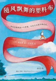 Plastic Sheet Fluttering in the Wind