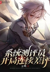 System Reviewer, Continuous Negative Reviews at the Beginning