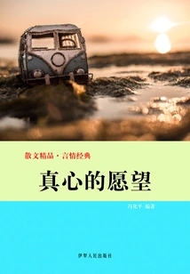 Sincere Wishes (excellent Prose·romance Classic)