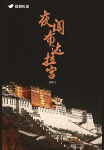 Night Tour of the Potala Palace
