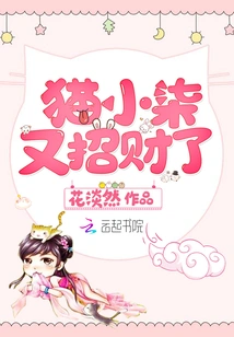 Cat Xiaoqi is Lucky Again