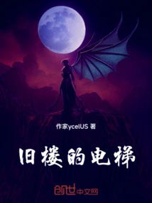 Elevator in Old Building